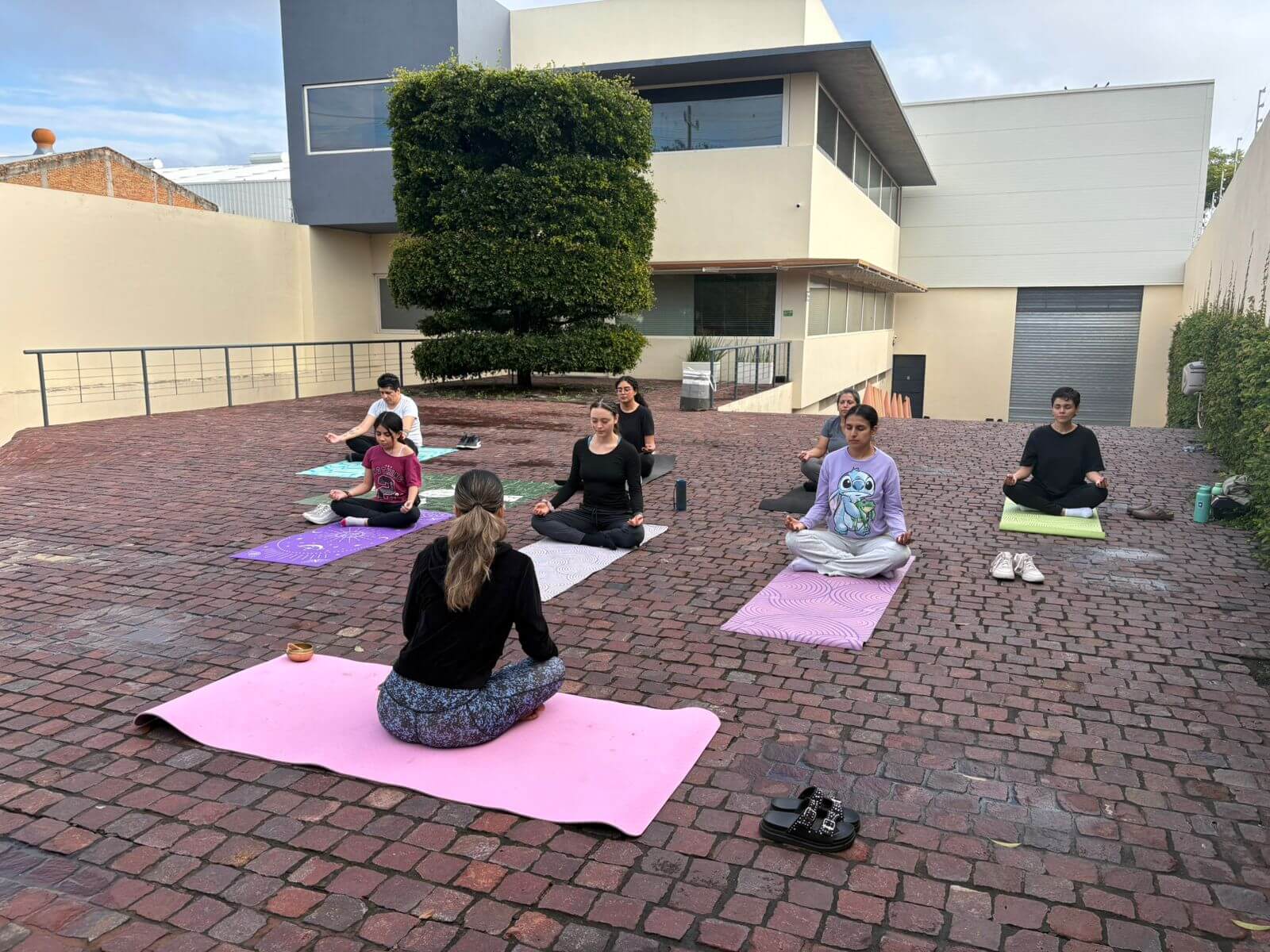 Experiencia de yoga 24: IMG 0541.JPG (2)
