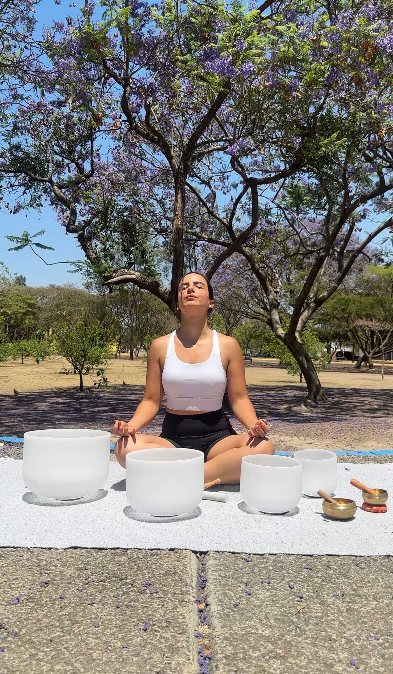 MEDITACIÓN