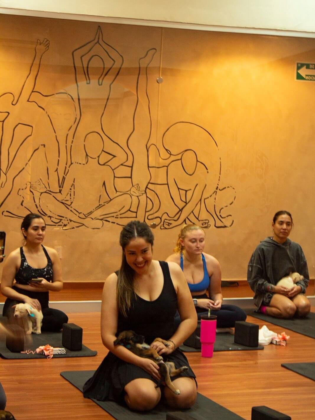 YOGA CON PERRITOS